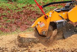 Best Lawn Renovation and Restoration  in Lakewood, NY