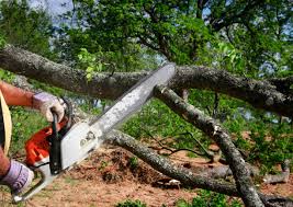 Best Soil Testing and Treatment  in Lakewood, NY