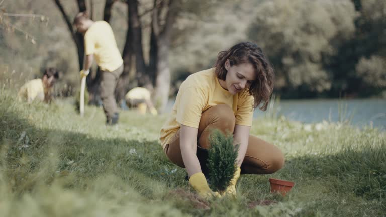 Best Lawn Renovation and Restoration  in Lakewood, NY